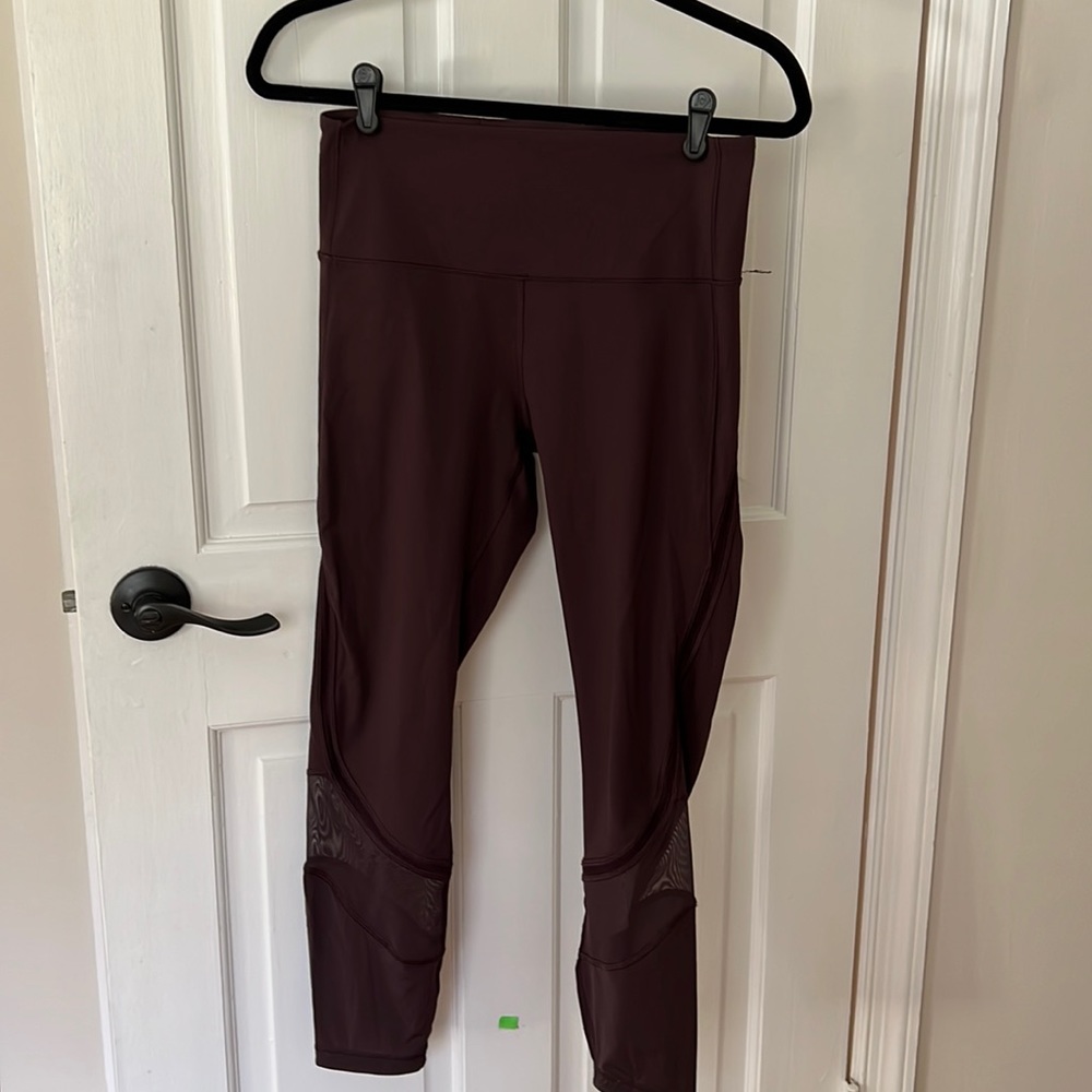 Lu Lu Lemon dark chocolate tights